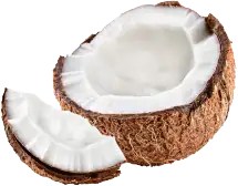 kelapa